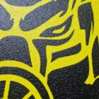 462647452_571960475776813_2653742112342425103_n - PredaColor