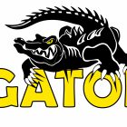 logo GATOR HD - PredaColor