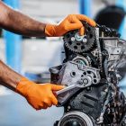 61H3j6PQZdL_SX522_jpg - PredaColor