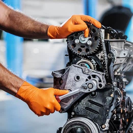 61H3j6PQZdL_SX522_jpg - PredaColor