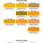 nuancier-RAPTOR-2png - PredaColor