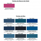 nuancier-RAPTOR-6png - PredaColor