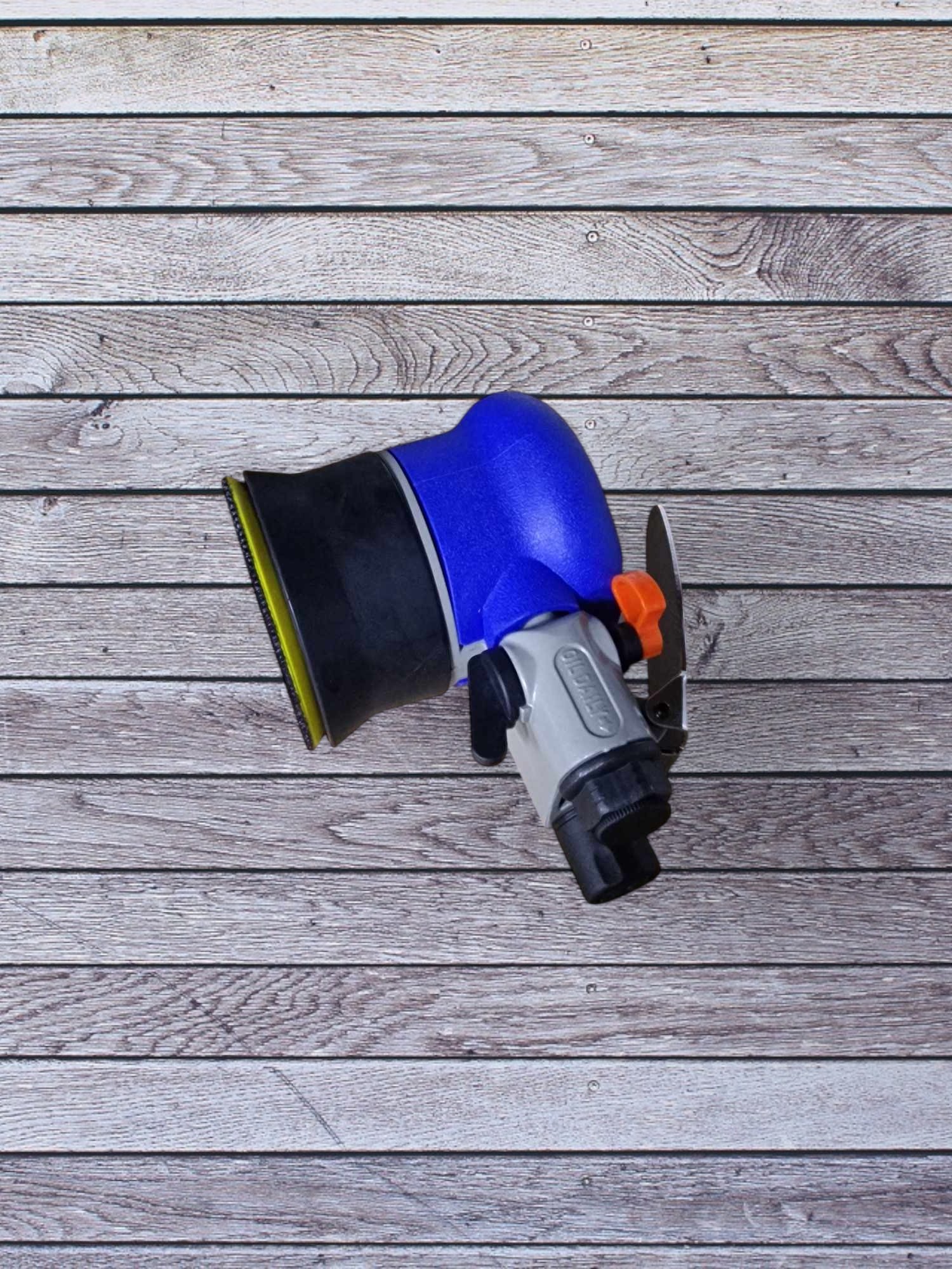 LJD1002 PONCEUSE 2-Photoroom - PredaColor