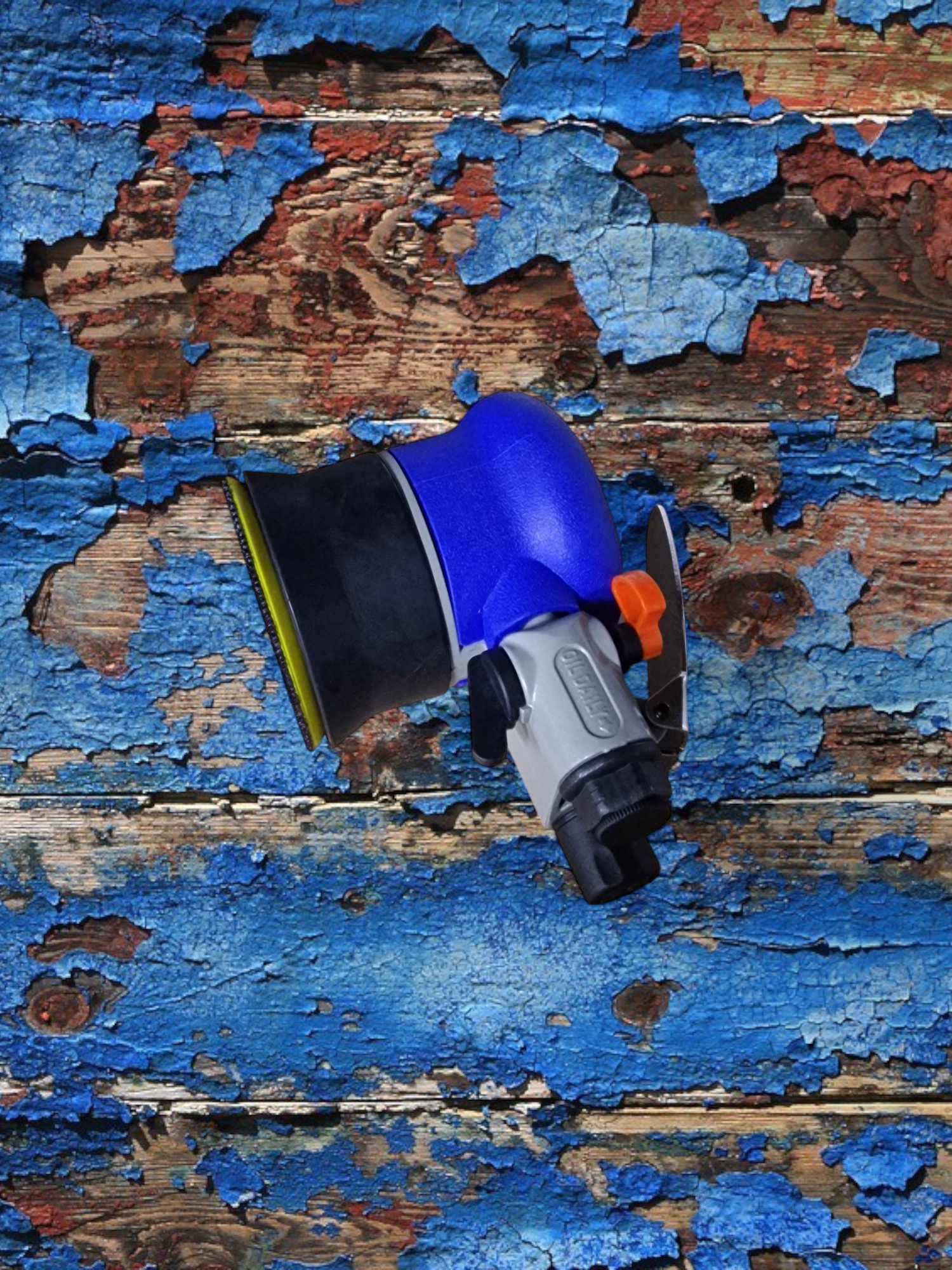 LJD1002 PONCEUSE 3-Photoroom - PredaColor