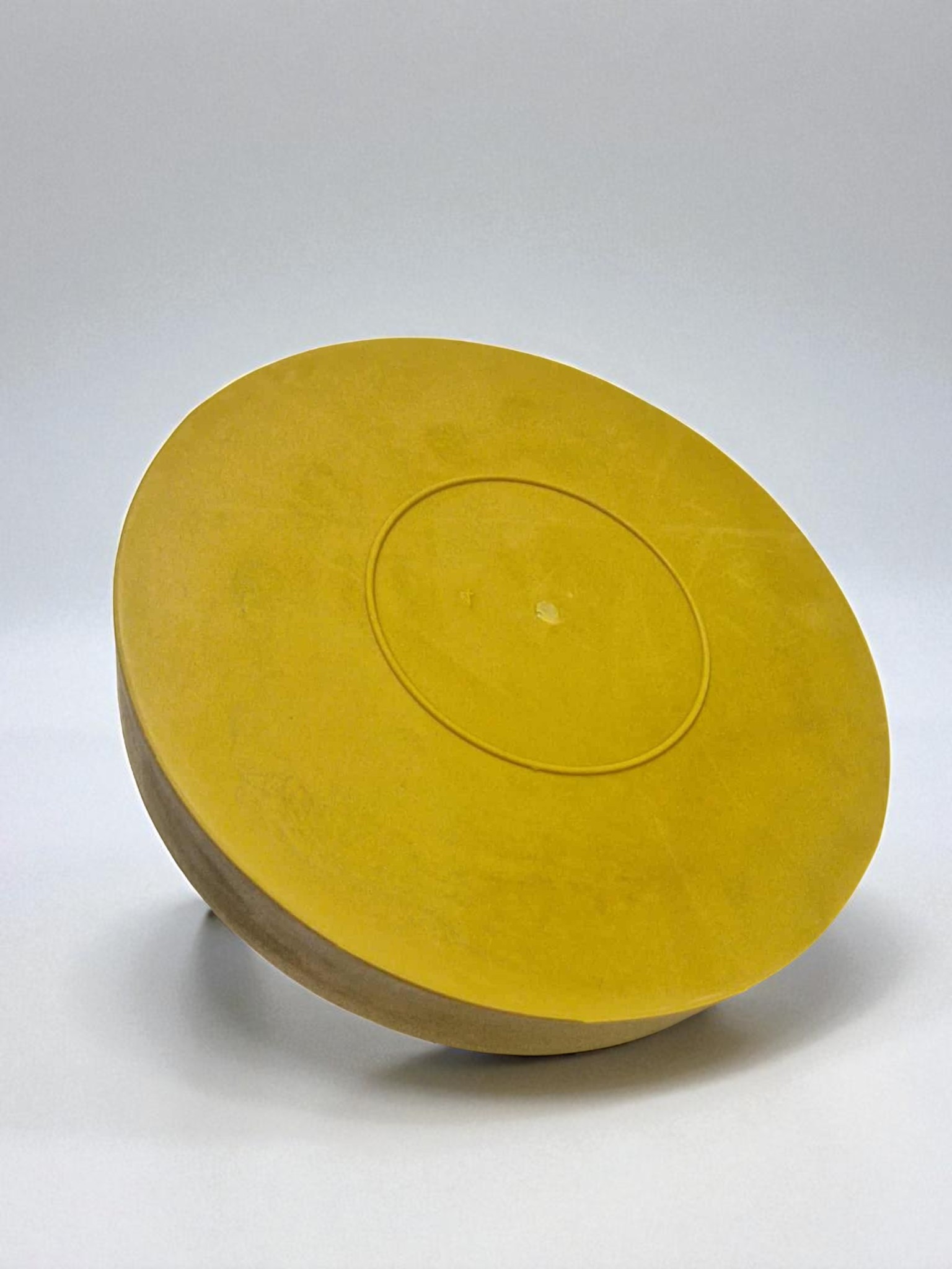 DISQUE ADHESIF 3-Photoroom-Photoroom - PredaColor